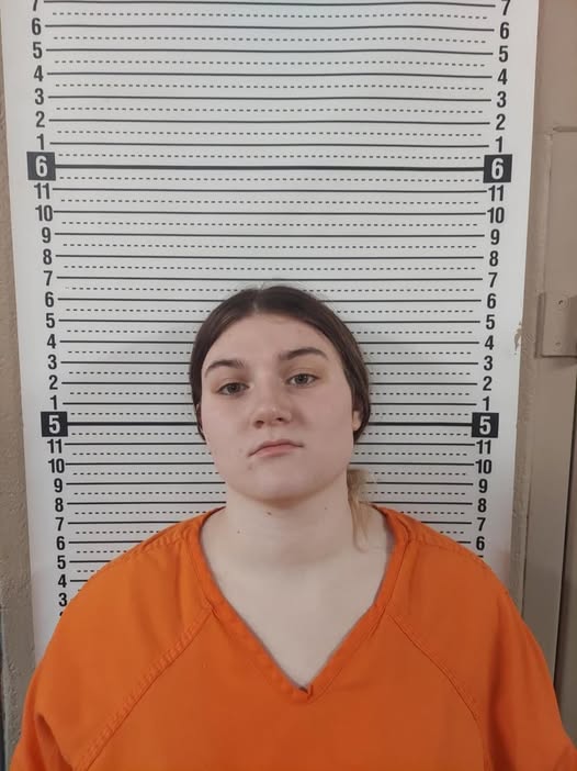 Missouri Mother Alyssa Wehmeyer Accused of Not Feeding 1-Year-Old Child for Over 36 Hours Before Tragic Death: A Comprehensive Look at the Case and Its Implications